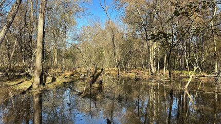 Property for sale in Elbert County, Georgia