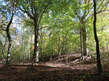 Property for sale in Lancaster County, South Carolina