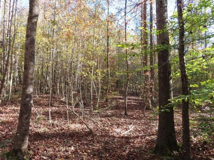 Undeveloped Land for sale in Lancaster County, South Carolina