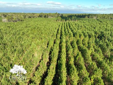 Property for sale in Ware County, Georgia