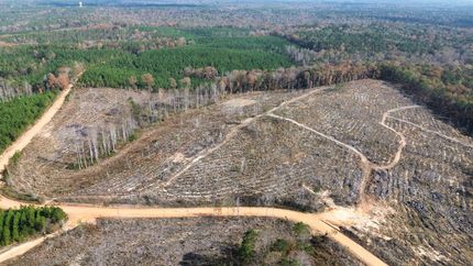 Property for sale in Russell County, Alabama