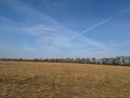 Property for sale in Red River County, Texas