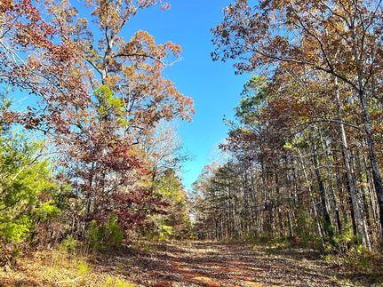 Undeveloped Land for sale in Elmore County, Alabama