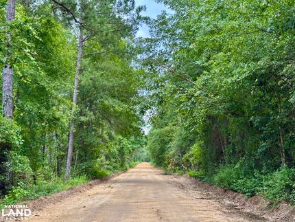 Timberland Property for sale in Dodge County, Georgia