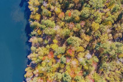 Property for sale in Morrison County, Minnesota