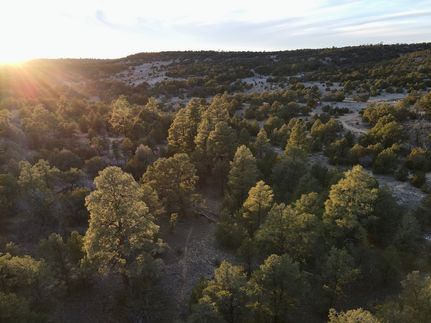 Timberland Property for sale in Cibola County, New Mexico