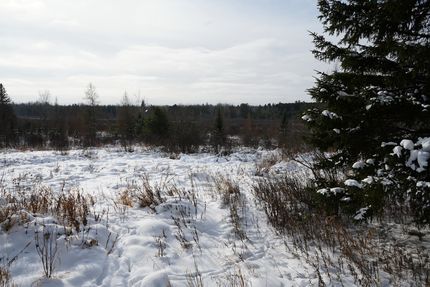 Property for sale in Price County, Wisconsin