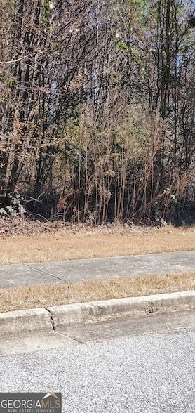 Undeveloped Land for sale in Gwinnett County, Georgia