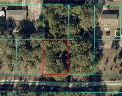 Undeveloped Land for sale in Marion County, Florida