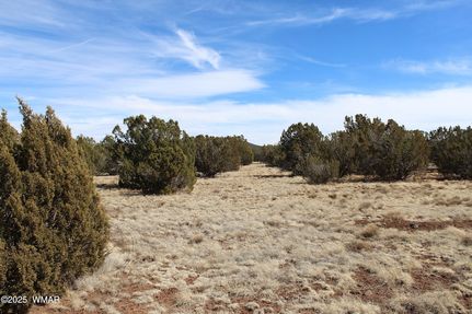 Property for sale in Apache County, Arizona