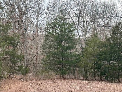 Property for sale in Fulton County, Arkansas