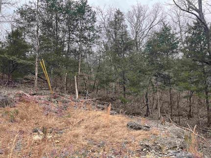 Property for sale in Fulton County, Arkansas