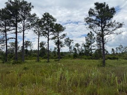 Property for sale in Taylor County, Florida