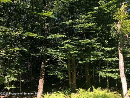 Property for sale in Lackawanna County, Pennsylvania