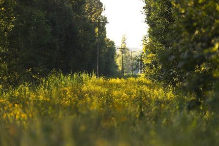 Property for sale in Ohio County, Kentucky