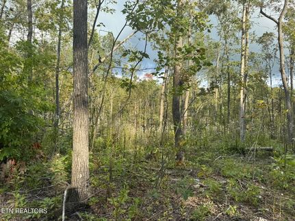 Property for sale in Bledsoe County, Tennessee