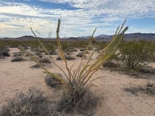 Property for sale in Mohave County, Arizona