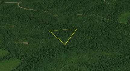 Undeveloped Land for sale in Houston County, Tennessee