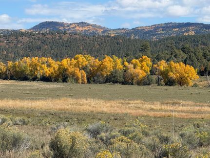 Hunting Land for sale in Rio Arriba County, New Mexico