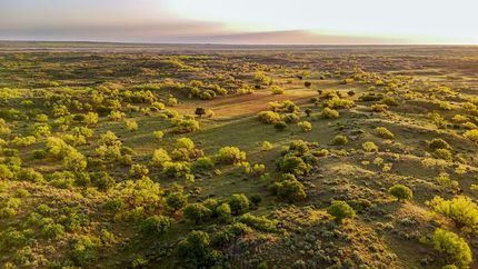 Property for sale in Hall County, Texas