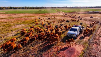 Property for sale in Cotton County, Oklahoma