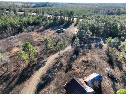 Hunting Land for sale in Telfair County, Georgia