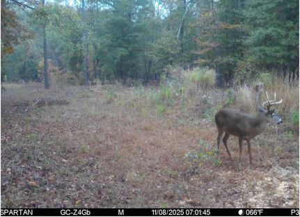 Property for sale in Macon County, Georgia