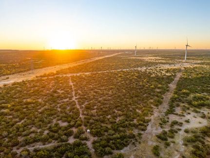 Undeveloped Land for sale in Coke County, Texas