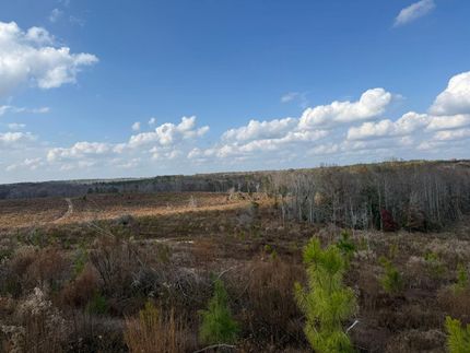 Timberland Property for sale in Macon County, Georgia