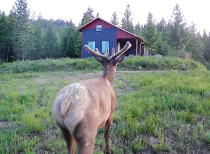 Hunting Land for sale in Pend Oreille County, Washington