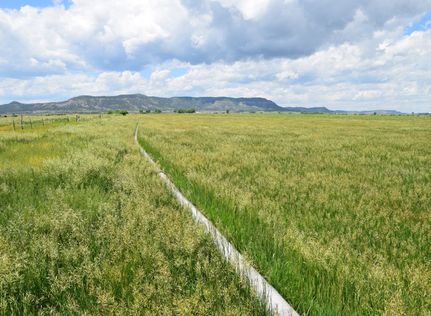 Ranch Property for sale in Las Animas County, Colorado