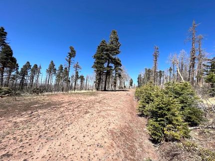 Undeveloped Land for sale in Costilla County, Colorado