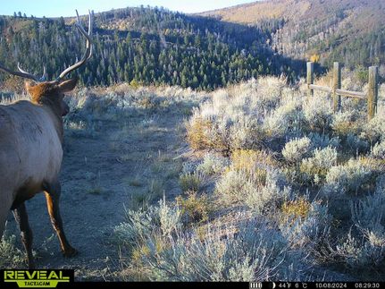 Hunting Land for sale in Garfield County, Colorado