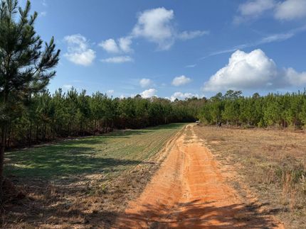 Property for sale in Marion County, Georgia