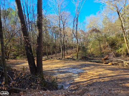 Hunting Land for sale in Blount County, Alabama