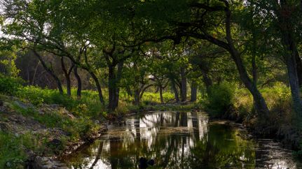 Hunting Land for sale in Coryell County, Texas