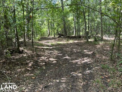 Property in Clarendon County, South Carolina