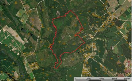 Property for sale in Dillon County, South Carolina