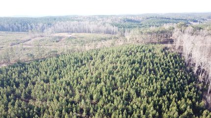 Property for sale in Tuscaloosa County, Alabama