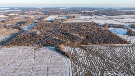 Property for sale in Fayette County, Illinois