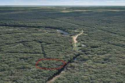 Undeveloped Land for sale in Liberty County, Texas