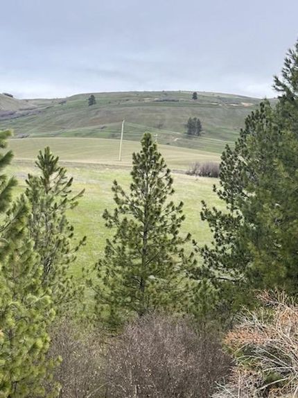Property for sale in Nez Perce County, Idaho