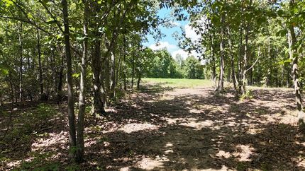 Property for sale in Perry County, Tennessee