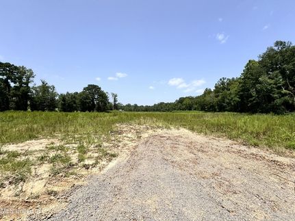 Undeveloped Land for sale in Rankin County, Mississippi