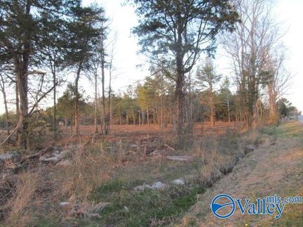 Property for sale in Marshall County, Alabama