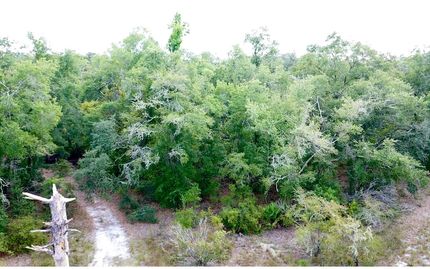 Property for sale in Suwannee County, Florida