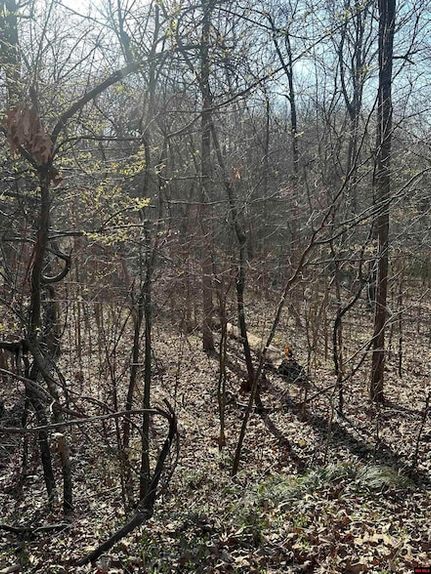 Property for sale in Sharp County, Arkansas
