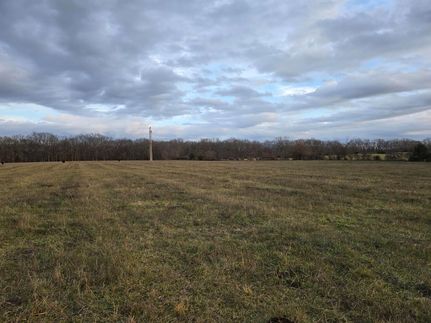 Undeveloped Land for sale in Christian County, Missouri