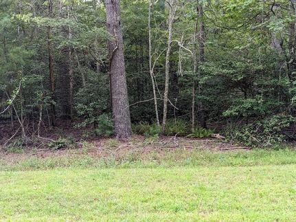 Undeveloped Land for sale in Clay County, North Carolina