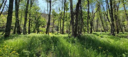 Undeveloped Land for sale in Siskiyou County, California